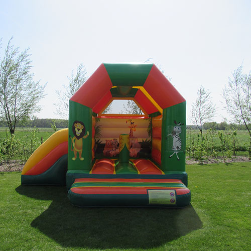 Bouncy castle jungle