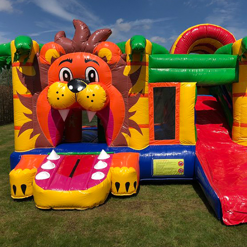 Bouncy castle lion king