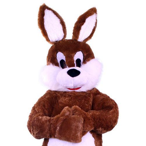 Eastern bunny costume